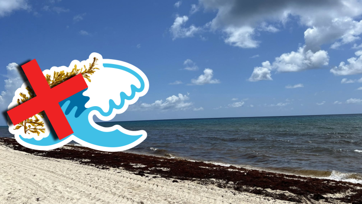 Playas libres de sargazo en Quintana Roo HOY 11 de agosto de 2025_ Lista desde Holbox, Cancún y hasta Tulum.jpg