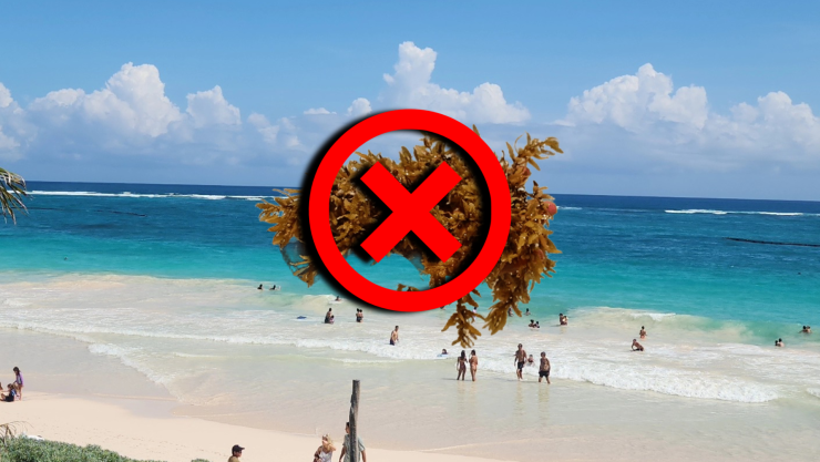Estas son las playas sin sargazo en Quintana Roo HOY 27 de octubre de 2025_ Cancún, Playa del Carmen, Tulum y más.jpg