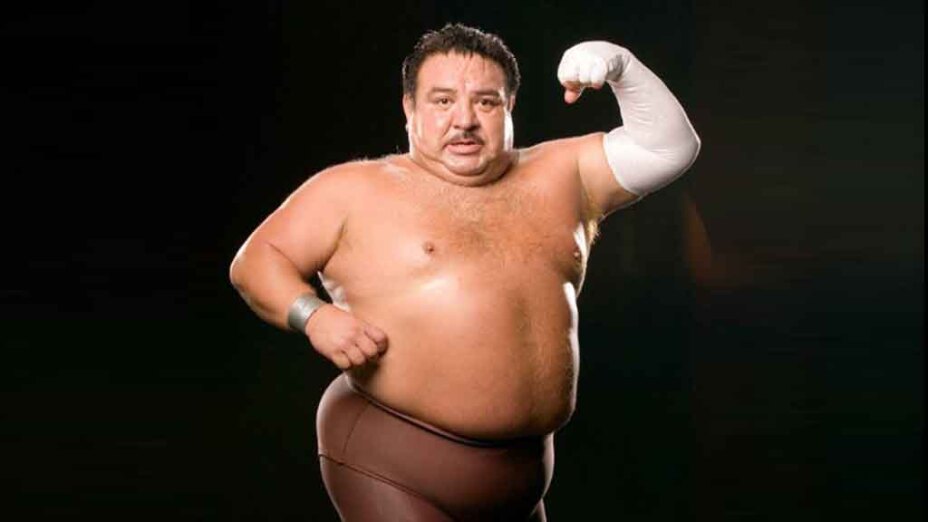 Brazo de plata