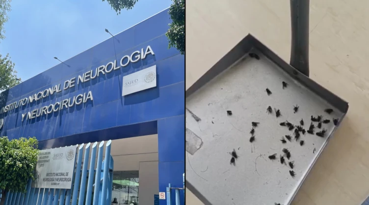 Encontraron moscas en los quirófanos del Instituto de Neurología en CDMX
