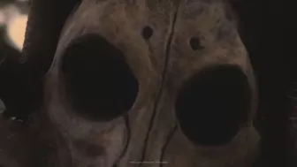 chupacabras-lo-que-la-gente-cuenta