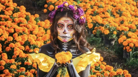 Experiencia Día de Muertos Xochimilco