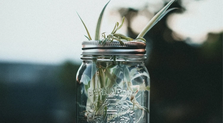 4 ideas DIY para hacer un mini huerto de especias con frascos de café