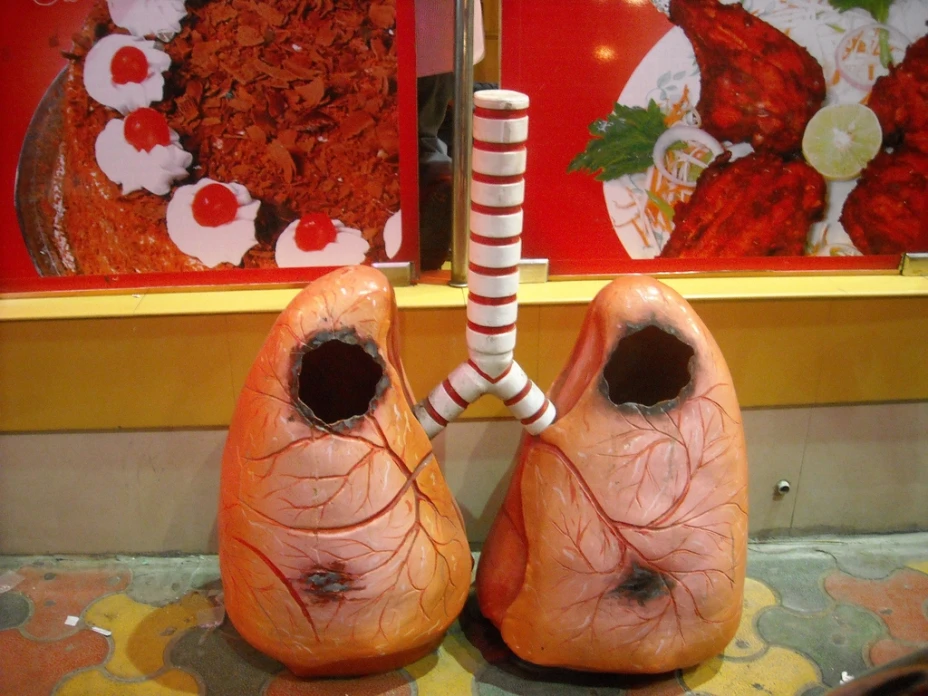 Pulmones artificiales, una realidad
