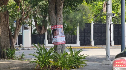 Surgen NUEVAS PISTAS del paradero de Doña Mirna del Socorro; señalan haberla visto en Tixcacal Opichén