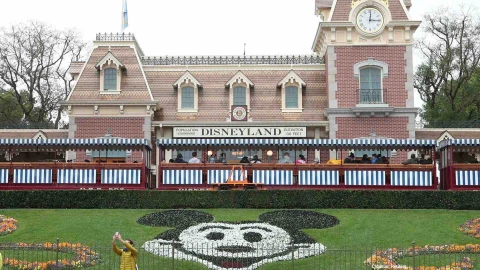 walt disney miami covid-19 florida.jpg