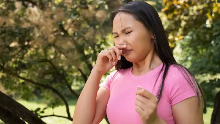 Alergias y enfermedades que provocan los vientos de Santa Ana