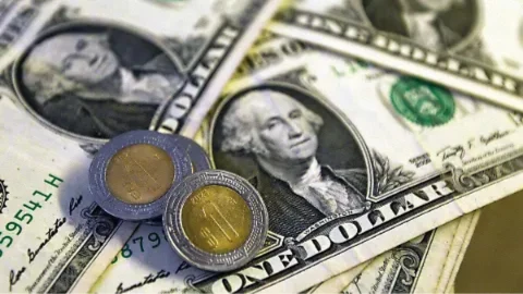 Precio del dólar HOY miércoles 19 de marzo de 2025 en Yucatán: La moneda americana sigue por debajo de los 20