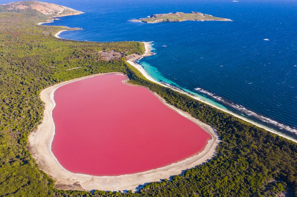 lago rosado hillier australia
