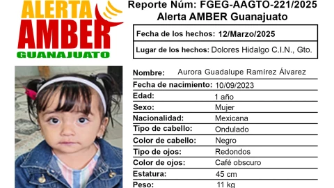 Desaparecidos Guanajuato ¿Quién es Aurora Guadalupe Ramírez Álvarez y qué sabemos de su desaparición en Dolores Hidalgo.png