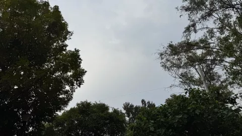 Clima en México del 9 de mayo