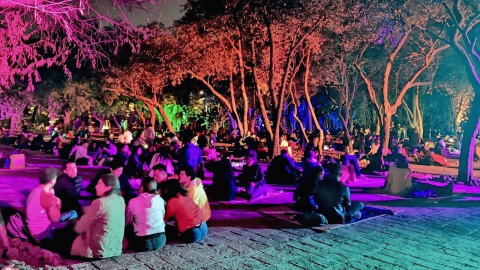 Picnic Nocturno 2025