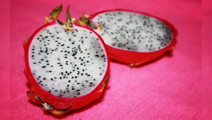 Pitahaya