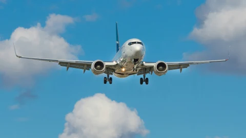 El avión comercial que CHOCÓ contra 40 flamencos en pleno vuelo
