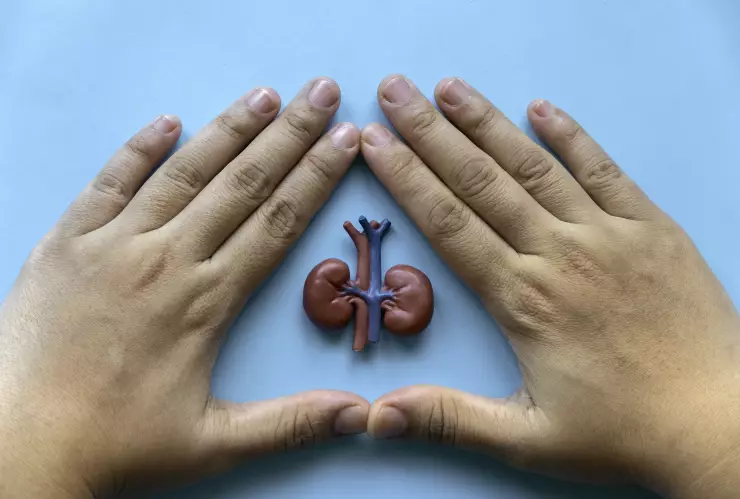 concept-of-world-kidney-day-national-organ-donor-2025-01-09-12-13-04-utc.jpg