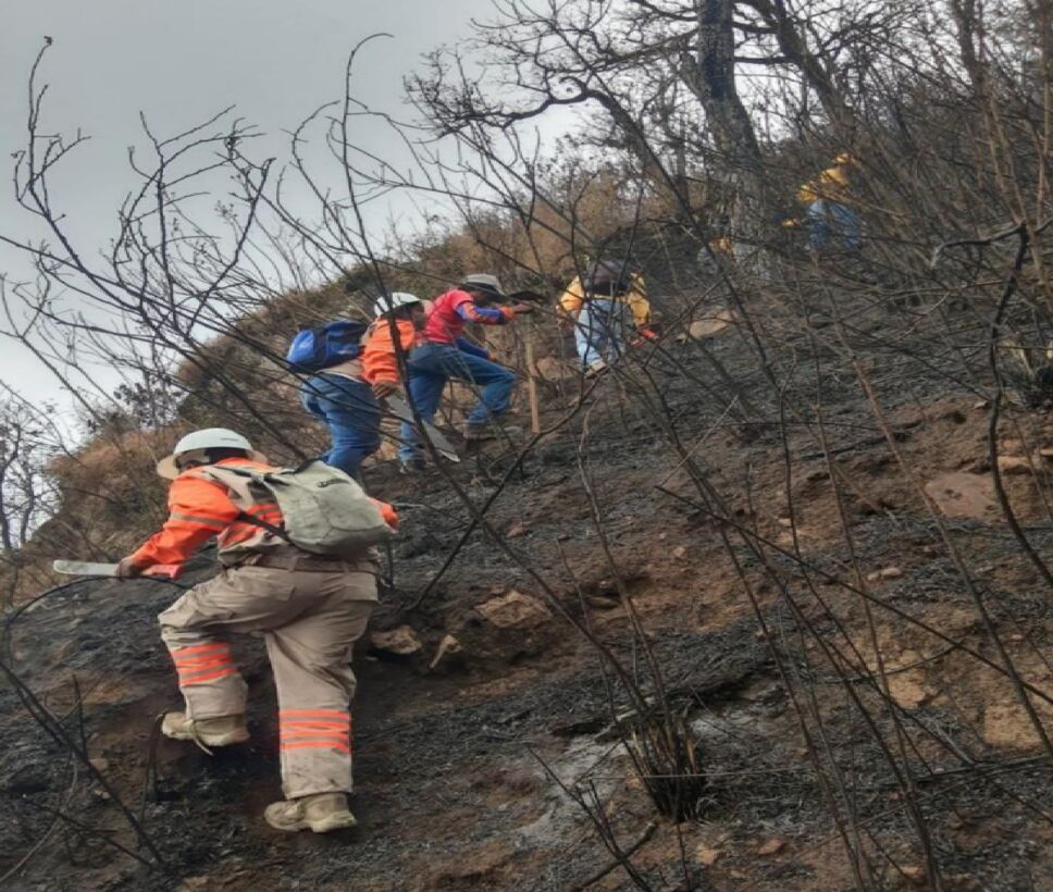 300 Brigadistas combaten incendio en el Cañón del Sumidero.png