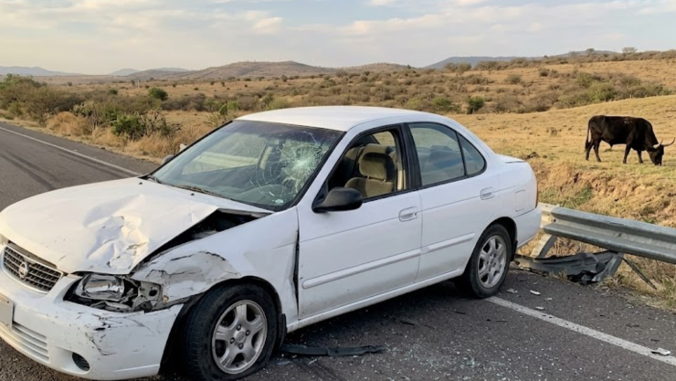 Choque en Acámbaro: Automóvil impacta contra un toro en Arroyo de la Luna