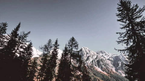 Dos excursionistas murieron en bosque nacional.png