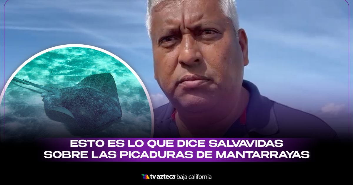 Ataque Mantarraya Qué hacer si te pica una mantarraya en playas de Tijuana