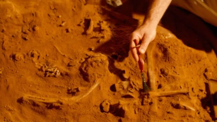 Arqueología_Dinamarca_México_2024