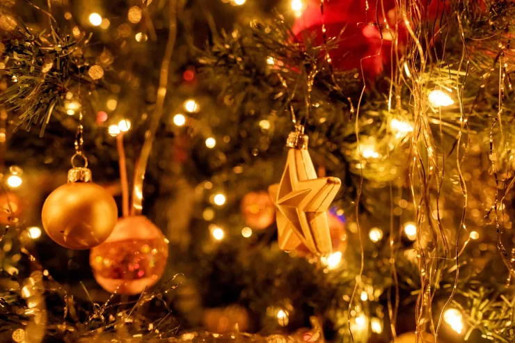 árboles de navidad