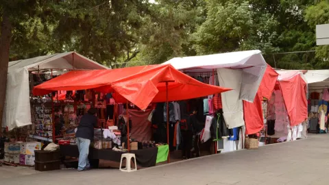 Tianguis de la Cibeles en la Roma Norte