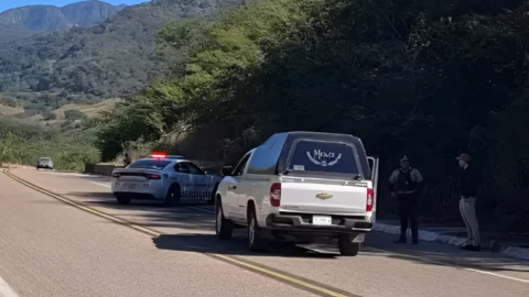 cuerpos embolsados en Concordia, Sinaloa