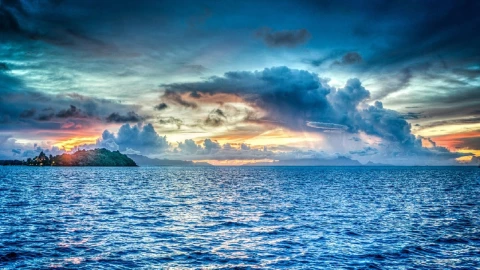 nuevo virus oceano pacífico