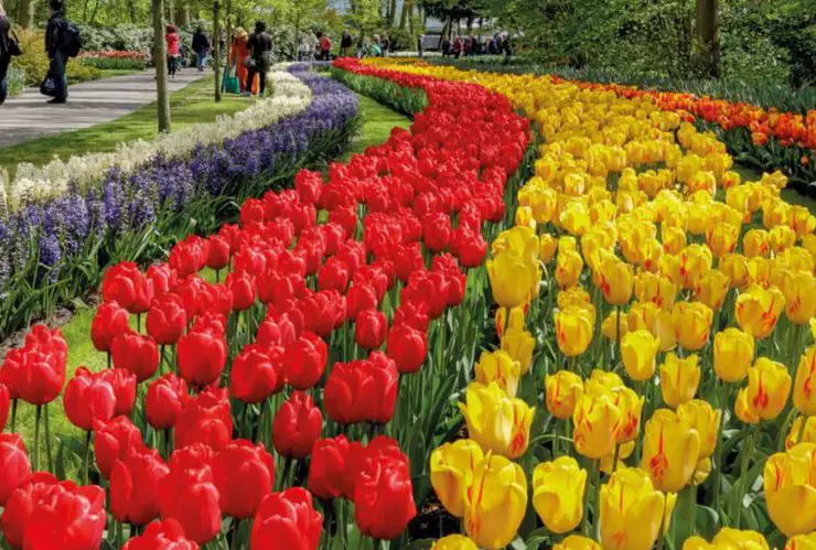 Llega el equinoccio de la primavera 2021