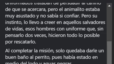 perro-colombia-facebook