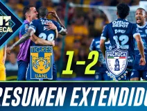 RESUMEN EXTENDIDO tigres .jpg