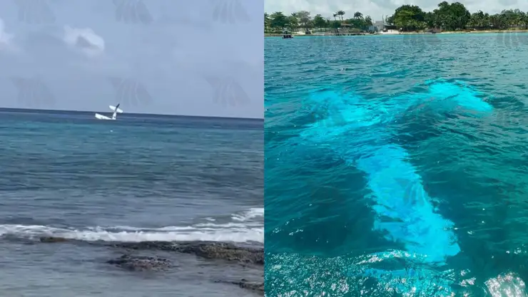 ÚLTIMA HORA: Se registra caída de una avioneta en Cozumel; a bordo solo estaba el piloto | VIDEO