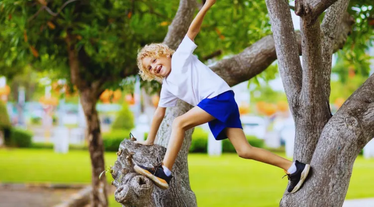 Qué significa que a un niño le guste trepar árboles, según la psicología