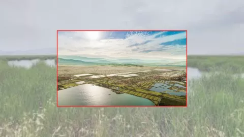 Vinculan a proceso al hombre que se apropió de terreno en Texcoco; movilizó a mil personas