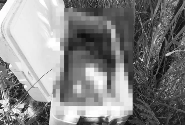 Restos humanos nevera Tabasco