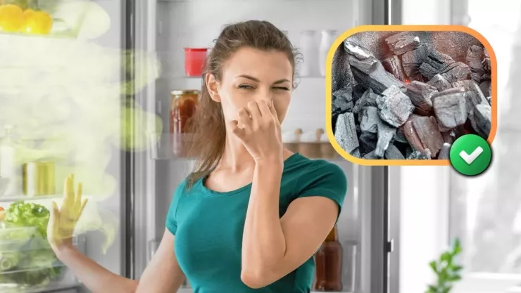 como-eliminar-malos-olores-nevera-carbon-de-barbacoa