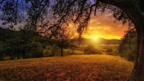 Canícula 2025 ¿Cómo afectará al clima de Aguascalientes la semana del 21 al 26 de julio