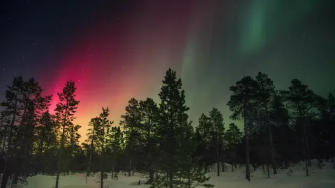 La noche polar 2023 es un evento muy especial y único