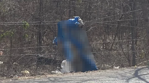 ¡De MIEDO! Andaba por el sur de Mérida y se encuentra una cabra sin vida colgada; esto se sabe