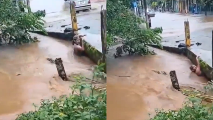 Veracruz, México.