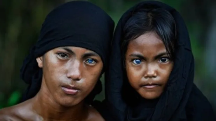 tribu buton mutacion genetica ojos color azul.jpg