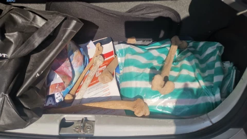 B04OLF DETENIDOS RESTOS ÓSEOS PANTEÓN IZTAPALAPA 1.jpg