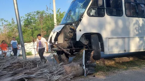 Camión de pasajeros se impacta contra palma de guano (FOTO)