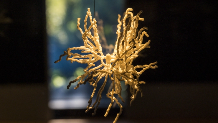 “Brain – wider than the sky” Interactive Exhibition