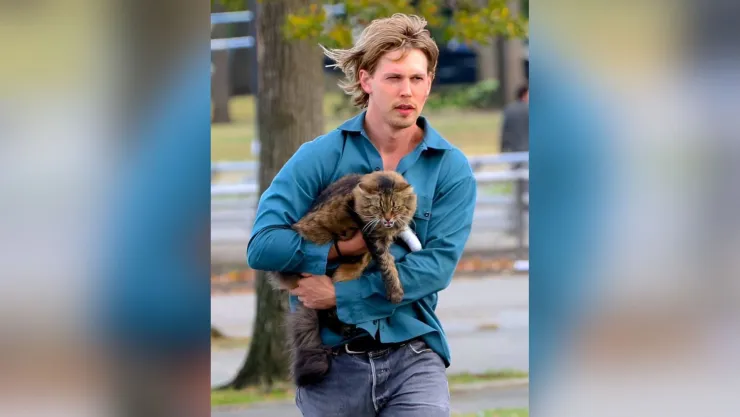 Tonic, el gato callejero que conquistó Hollywood en la película con Austin Butler