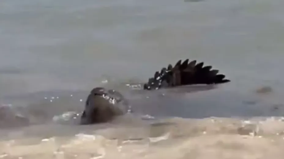 Texto del párrafo - 2025-04-09T130959.304.jpg