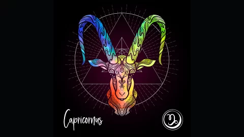 Signo Capricornio 1