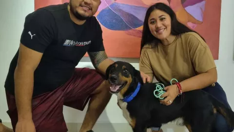 perrito maltratado es adoptado por nueva familia