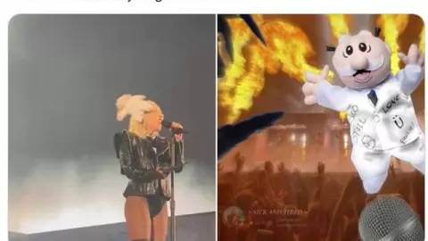 memes peluche simi (3)