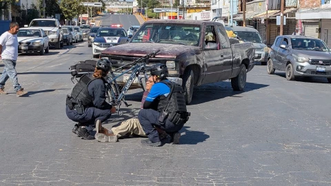 Atropellado Chihuahua.jpg